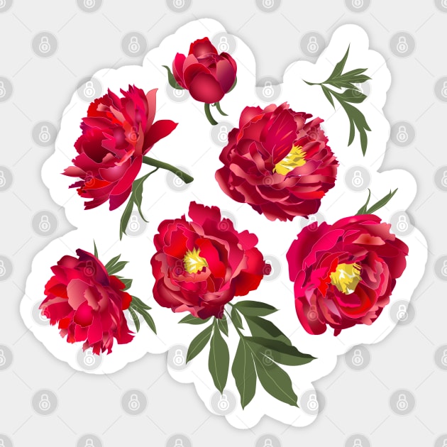 red peony on white Sticker by kobyakov